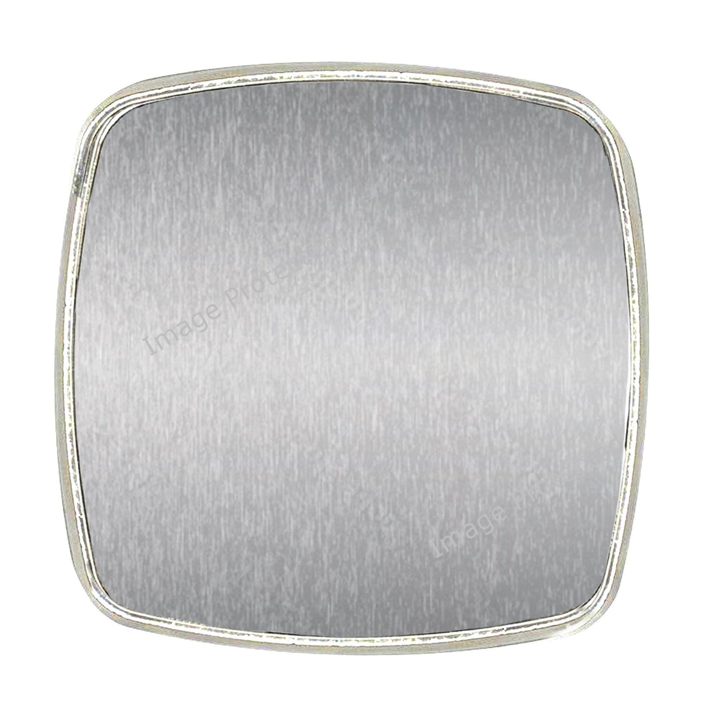 Chrome Magnet: Large, Strong - Tabby Cat Among Flowers