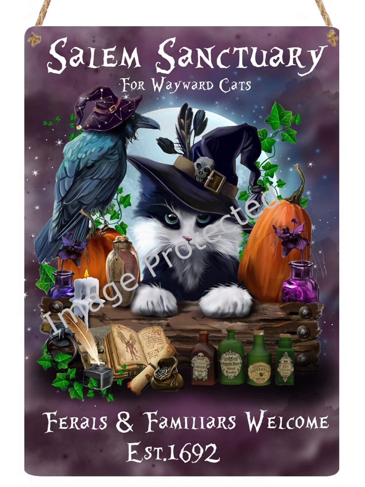 Salem Sanctuary Cat Sign: Wayward Cats Hanging Metal Sign