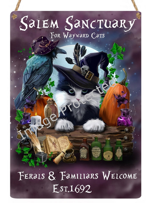 Salem Sanctuary Cat Sign: Wayward Cats Hanging Metal Sign