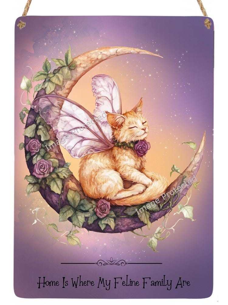 Fairy Cat On Moon Metal Sign - Ginger Cat Home Decor