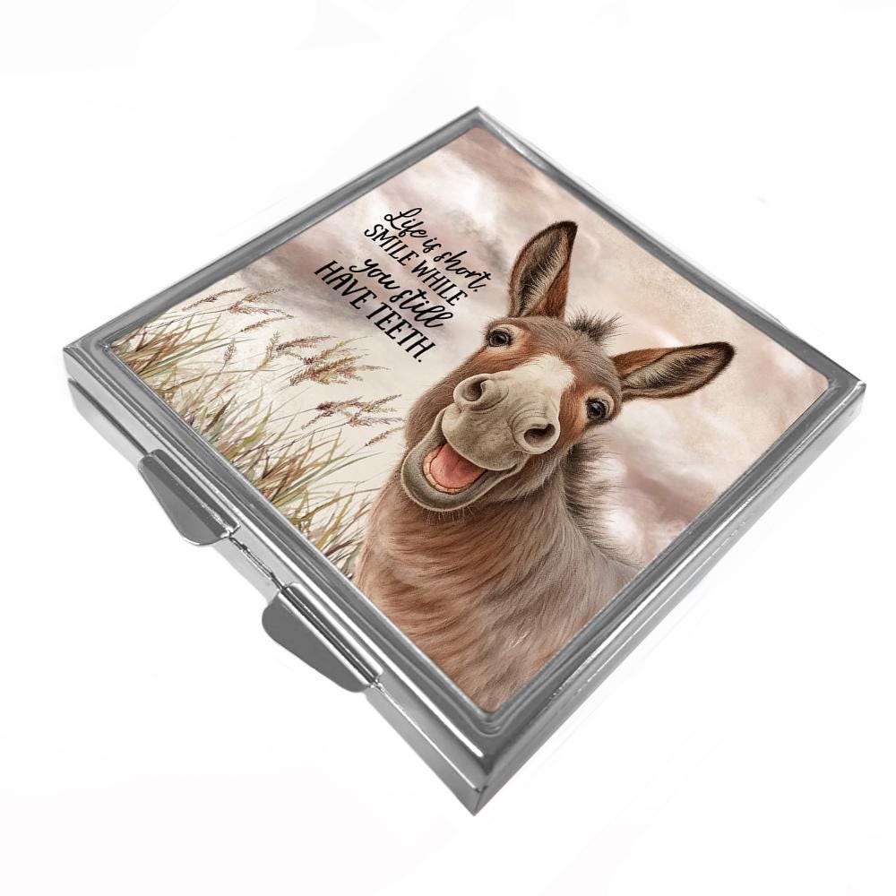 Donkey Square Pill Box: Metal Trinket Storage