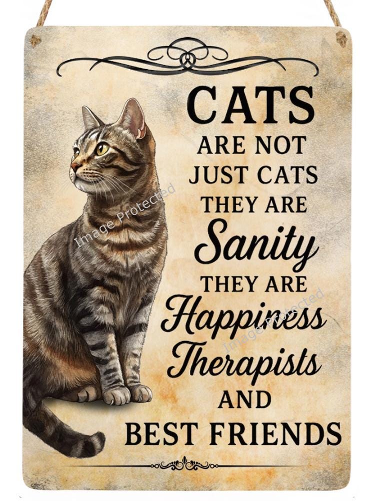 Tabby Cat Metal Wall Sign, Friend Home Decor