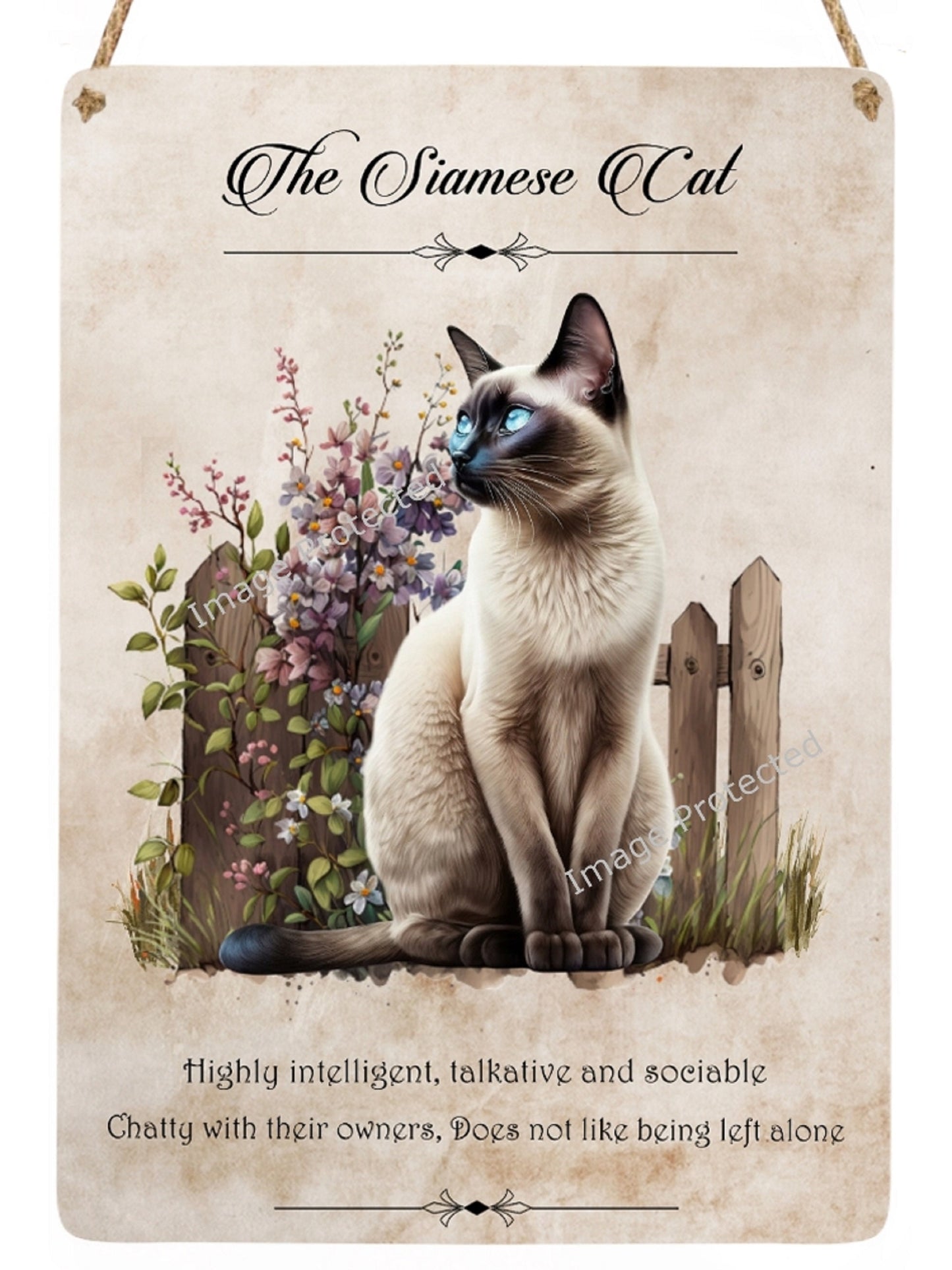 Cat Breed Sign - The Siamese Cat