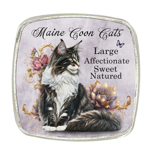 Maine Coon Cat Magnet – Large Chrome Finish Breed Design