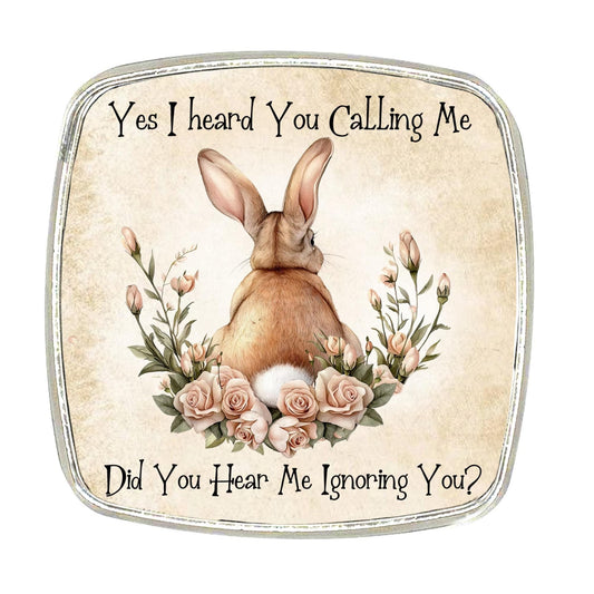 Chrome Finish Large Magnet - Rabbit Magnet - Bunny Butt - Funny Quote