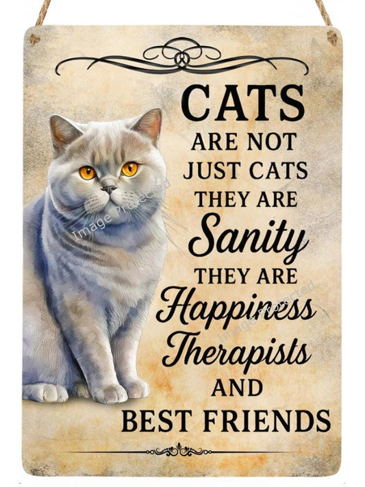 British Blue Cat Metal Wall Sign, Home Decor, Friend