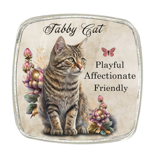 Tabby Cat Magnet - Chrome Finish, Large Breed Magnet