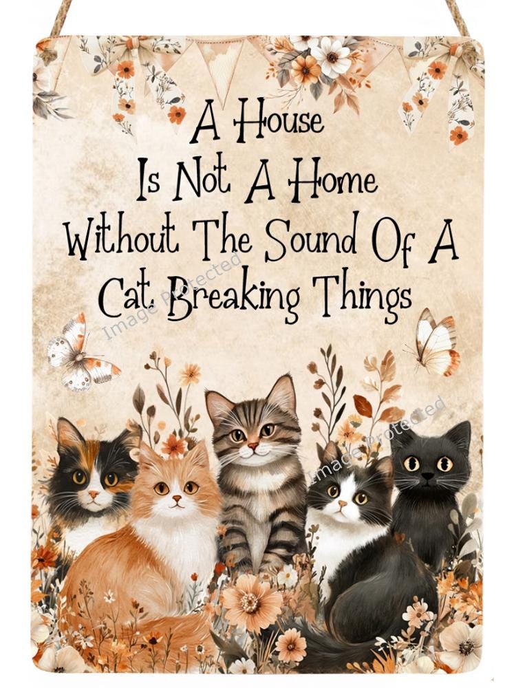 Funny Cat Sign: 'A House is Not a Home...' - Handmade Metal Wall Decor