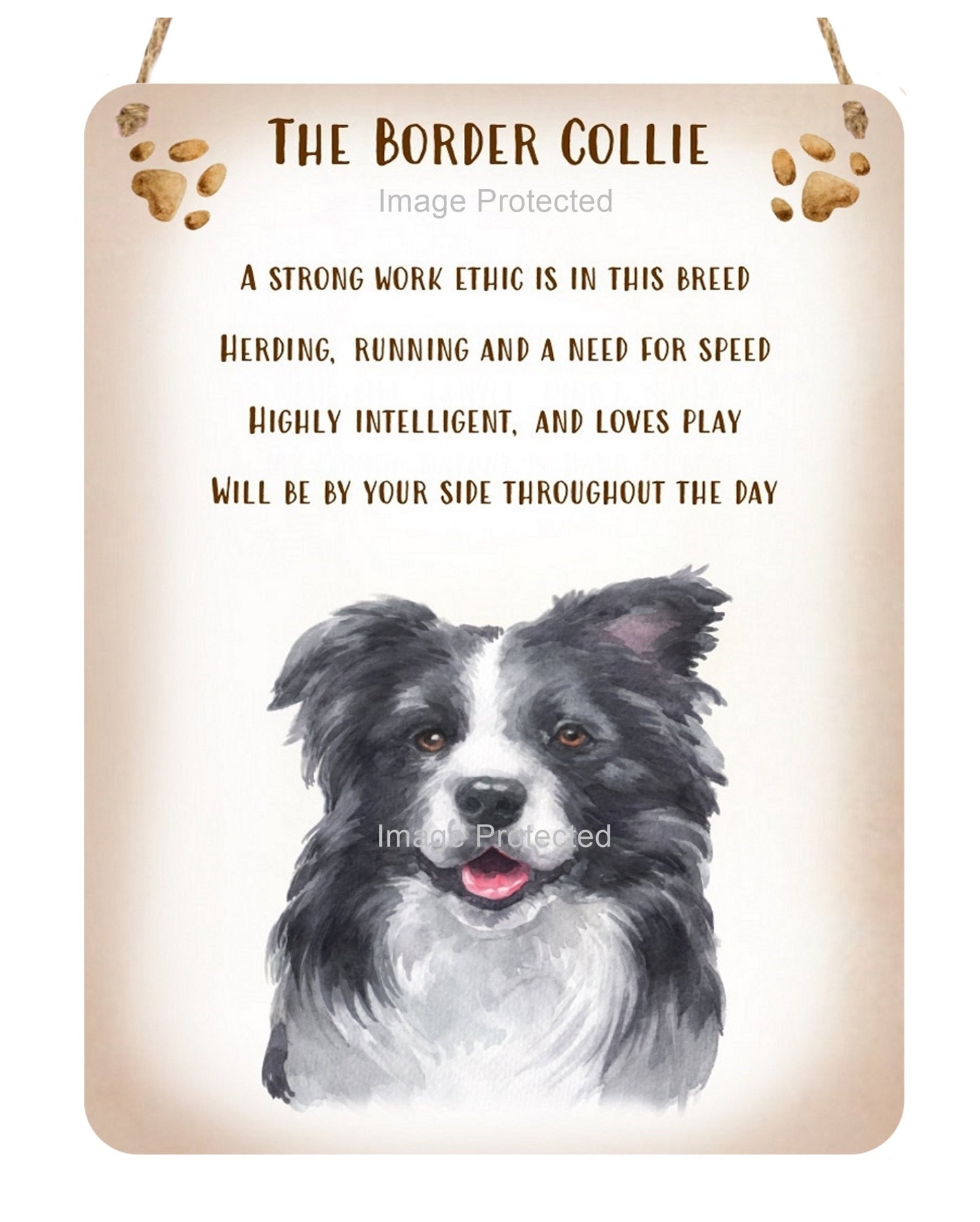 Metal Dog Sign - The Border Collie