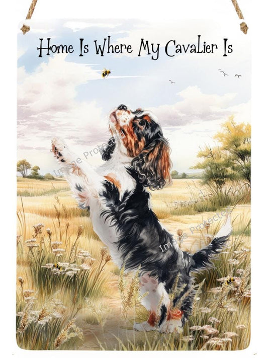 Cavalier King Charles Spaniel Metal Sign: Home Decor