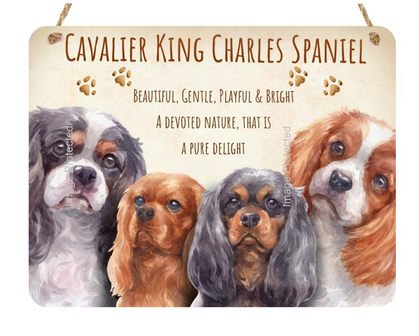 Metal Dog Sign - The Cavalier King Charles Spaniel