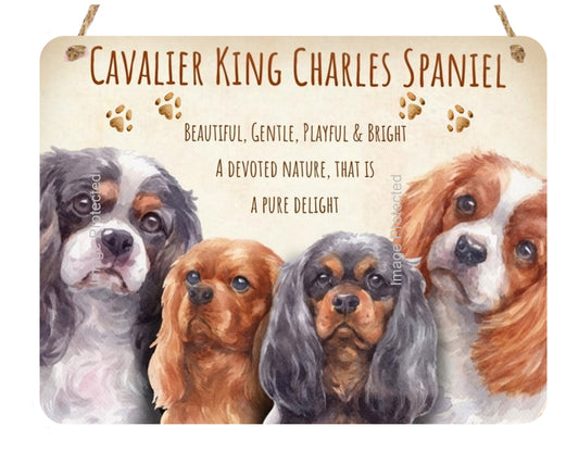 Metal Dog Sign - The Cavalier King Charles Spaniel