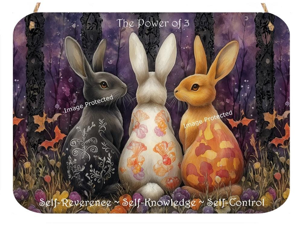 Hanging Metal Sign - Power Of 3 - Rabbit Sign - Motivational Quote