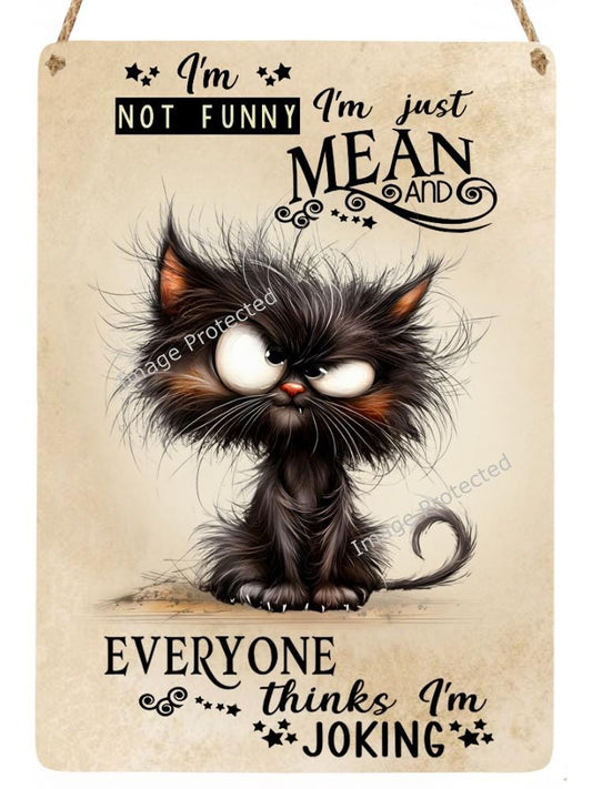 Black Cat Metal Sign: "I'm Not Funny, I'm Just Mean..." Hanging Decor