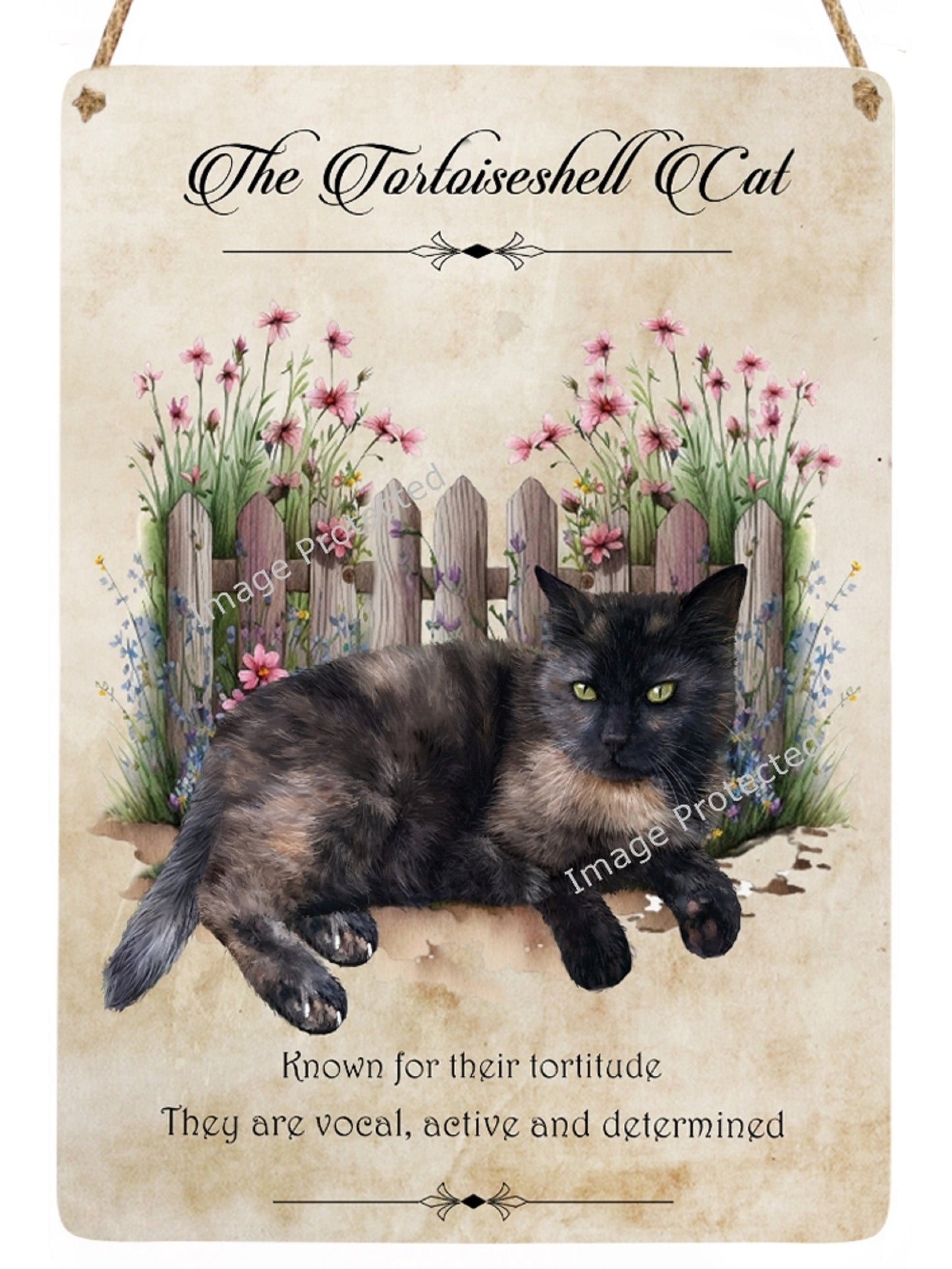 Cat Breed Sign - The Tortoiseshell Cat