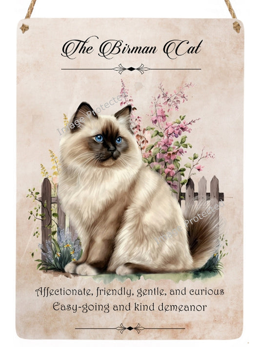 Cat Breed Sign - The Birman Cat