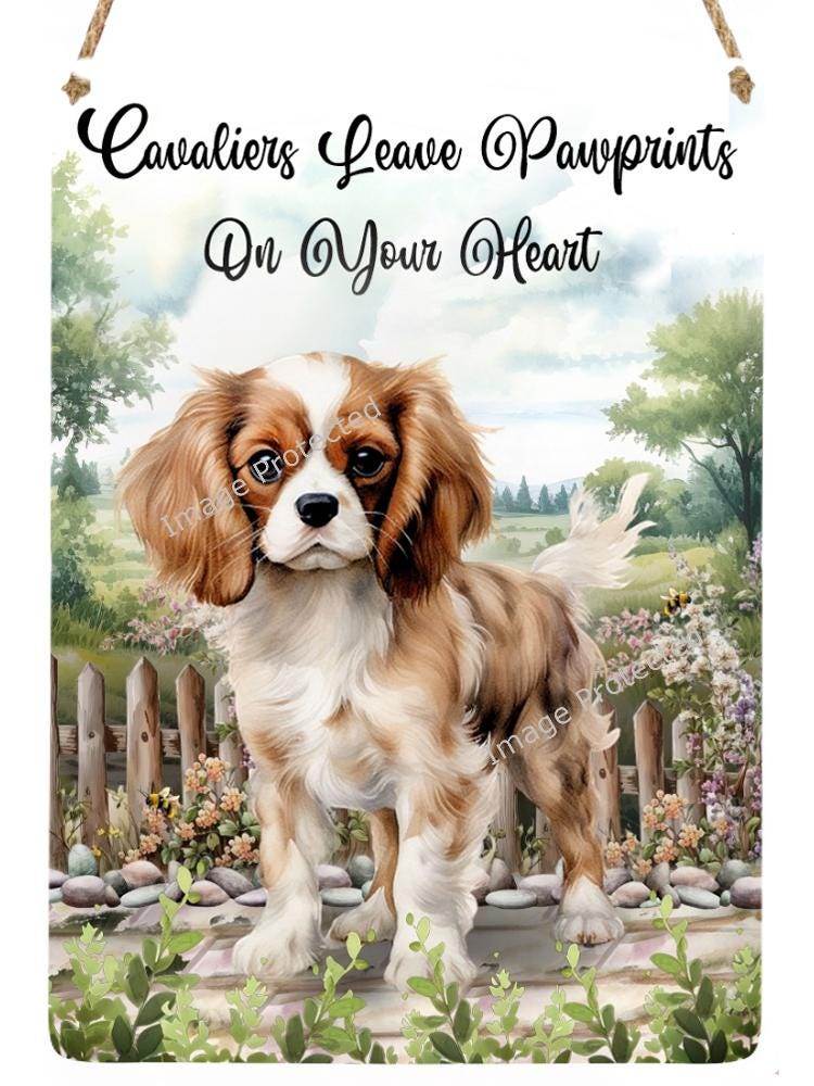 Cavalier King Charles Spaniel Metal Sign: Dog Paw Prints