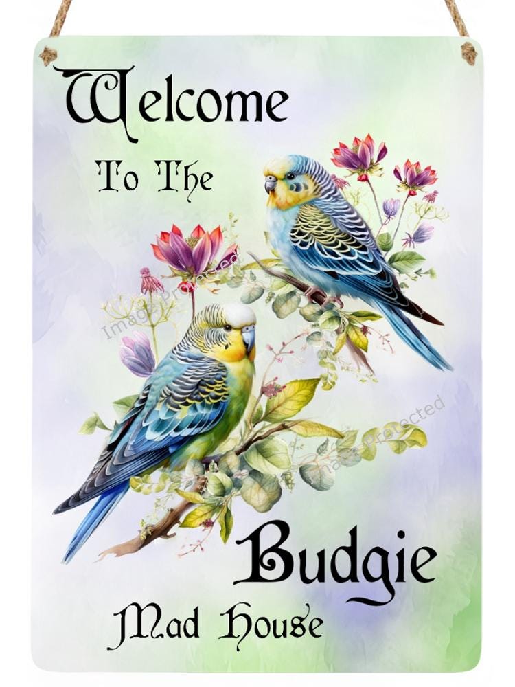 Handmade Budgie Metal Home Sign: Bird Lover Gift