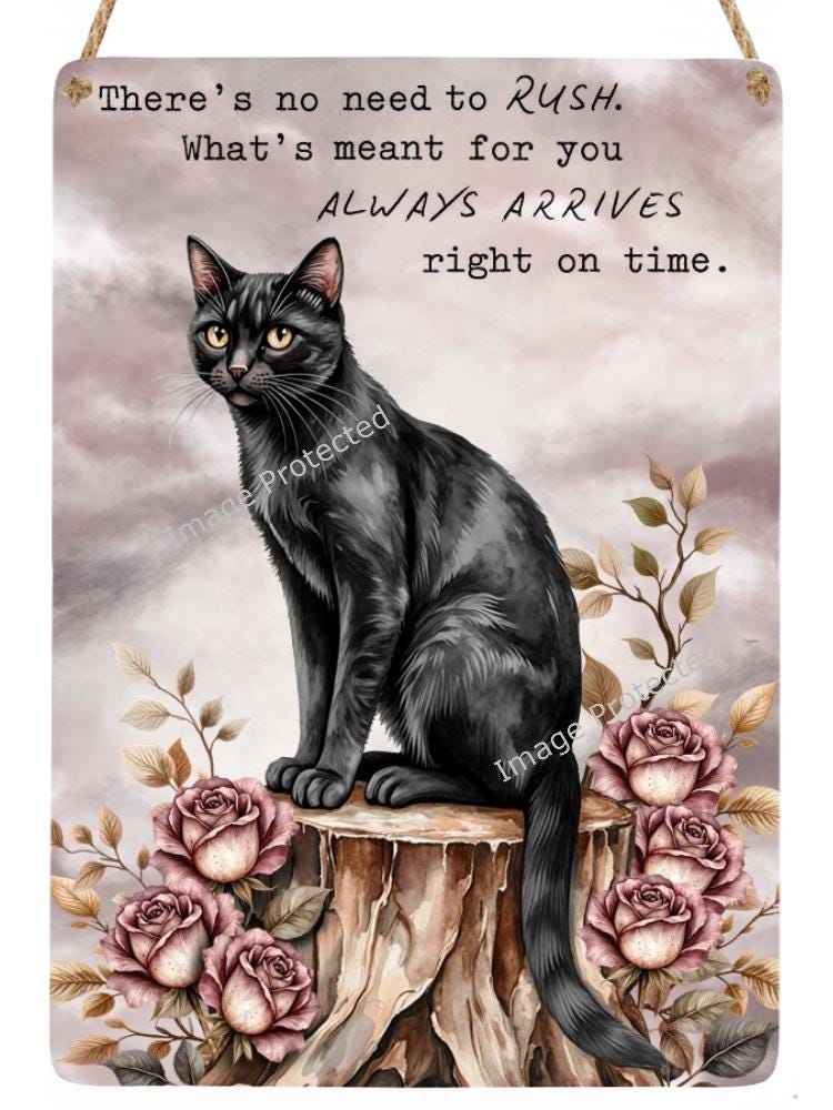 Black Cat Metal Sign: Inspirational Home Decor (20cm x 15cm)