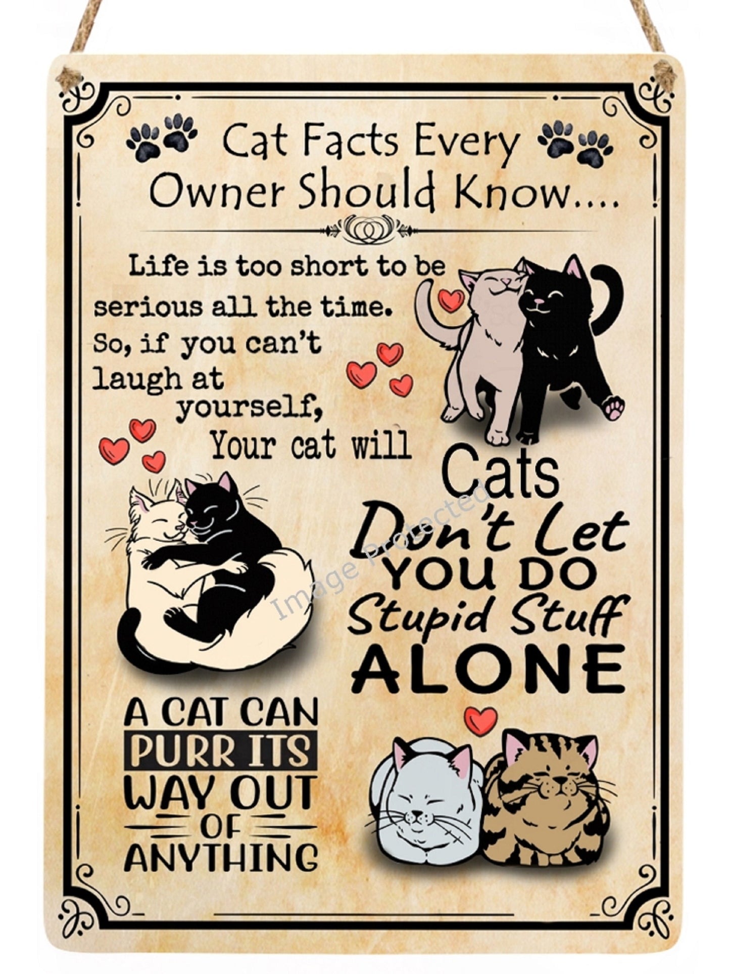 Funny Cat Facts Metal Sign - Unique Home Decor
