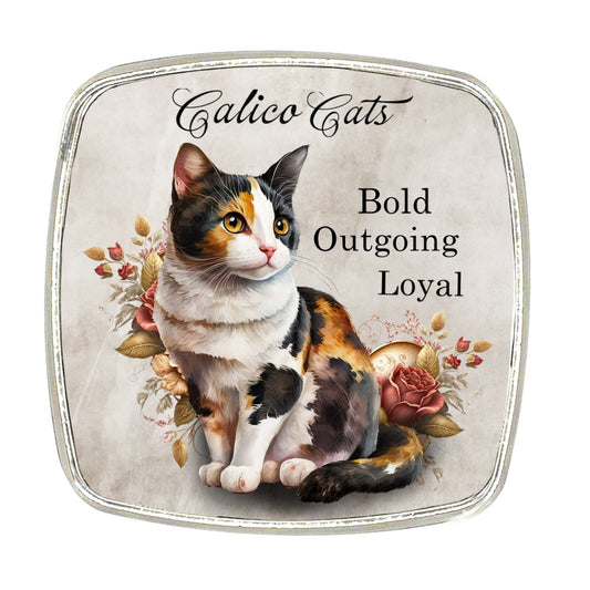 Calico Cat Magnet: Chrome Finish, Large Size (6cm)