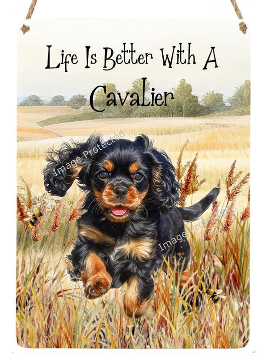 Cavalier King Charles Spaniel Metal Sign: Dog Lover Gift