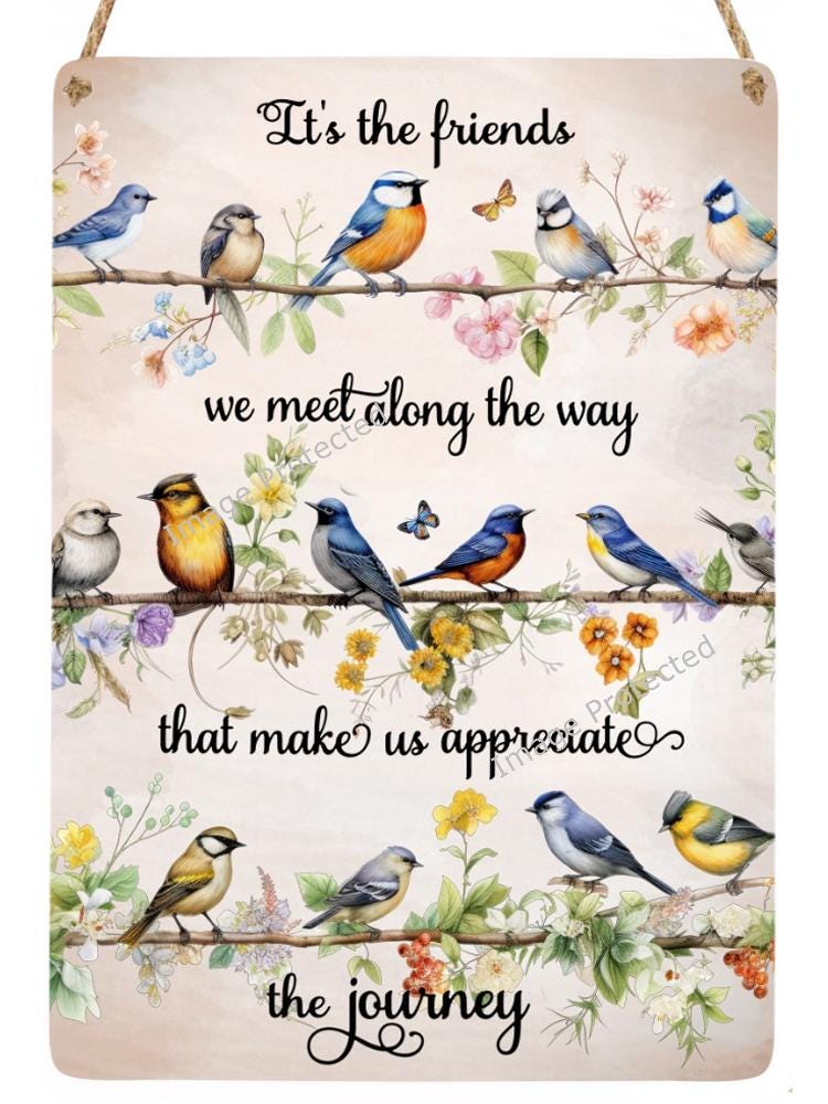 Hanging Metal Sign - Birds - Bird Sign - It's The Friends We Meet Along The Way...