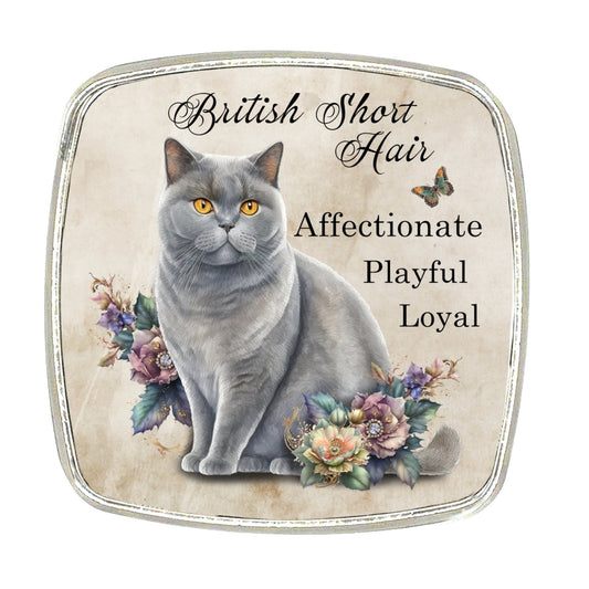 British Short Hair Cat Magnet - Chrome Finish