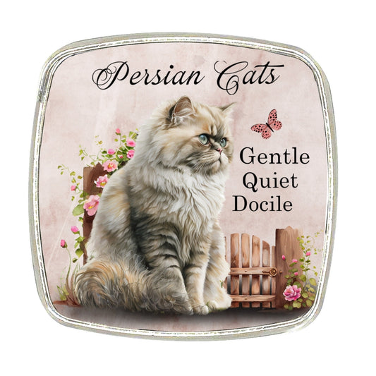 Persian Cat Magnet: Chrome Finish, Large Breed Magnet