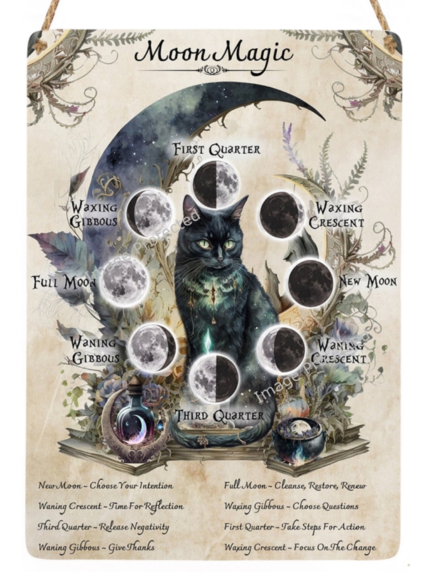 Black Cat Moon Phases Metal Sign - Witch Decor