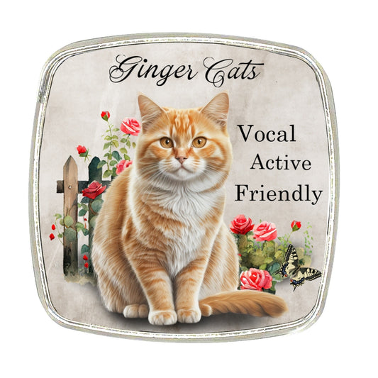 Ginger Cat Magnet: Chrome Finish Metal, Cat Breed Collection