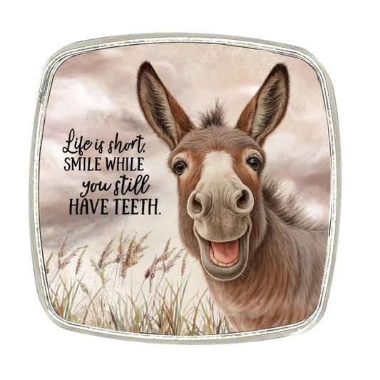 Chrome Finish Donkey Magnet: Funny Saying (6cm)