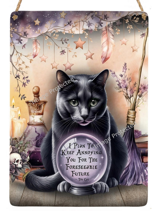 Black Cat Crystal Ball Sign: Funny Cat Lover Gift
